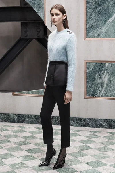 Look 15
